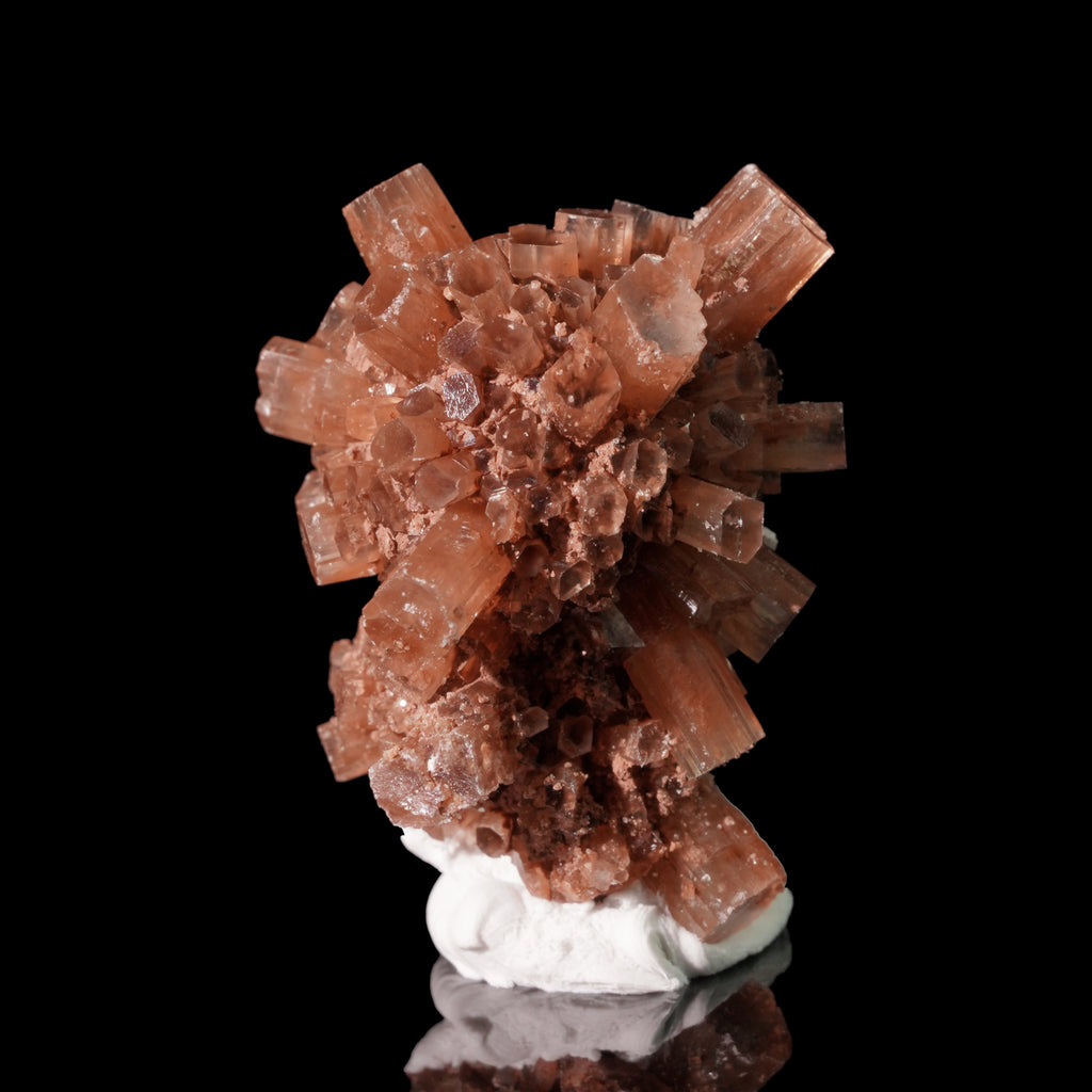 Aragonite · Coral Formation (21.5*26.2*34.4mm)